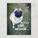 Search for sadness postcards Pet