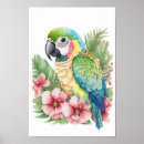 Search for macaw bird Watercolor
