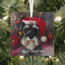 Search for miniature schnauzer christmas tree decorations Puppy