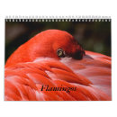 Search for flamingo calendars Birds