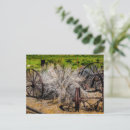 Search for historical postcards America