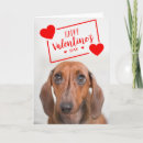 Search for dachshund valentines day cards Kiss
