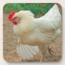 Search for chicken coasters Farmer