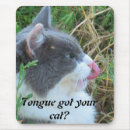 Search for maine coon cat mousepads Kitty