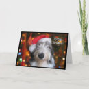 Search for old english sheepdog christmas cards Xmas