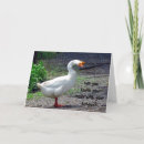 Search for funny goose cards Silly