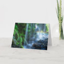 Search for small waterfall cards Sunlight