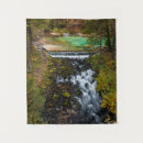 Search for flowing water Landscape