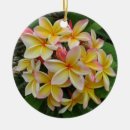 Search for plumeria christmas tree decorations Floral