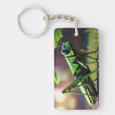 Search for grasshopper key rings Bug