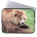 Search for cuddly cases Bear