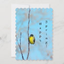 Search for finches cards Yellow