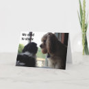 Search for shared birthday cards Photography