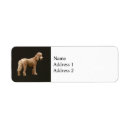 Search for apricot return address labels Pet