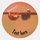 Search for balancing stickers For her