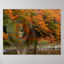 Search for fantasy lion art Animal