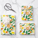 Search for clementine wrapping paper Modern