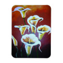 Search for callas magnets Lilies