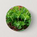 Search for solomons badges Seal