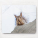 Search for the walnut mousepads Squirrel