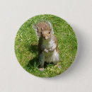 Search for squirrel photos badges Rodent