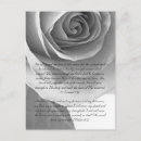 Search for rose background postcards Beautiful
