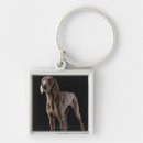 Search for weimaraner key rings Studio shot