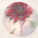 Search for winding coasters Bright