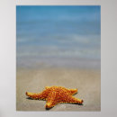 Search for cushion posters Animal