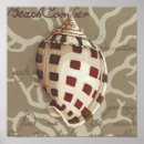 Search for sonnets posters Seashells