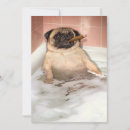 Search for bathe invitations Animal