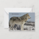 Search for canadian note cards The wild canadian year