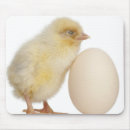Search for 1 year old electronics Birds around the world