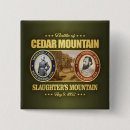 Search for battlefield badges Virginia