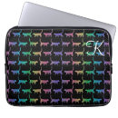 Search for rainbow cat cases Kitty