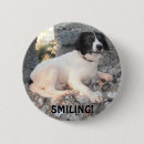 Search for border collie badges Black