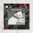 Search for shamrock gift tags Puppy