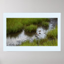 Search for sandpiper art Animals