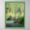 Search for pacific northwest photography Hiking