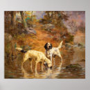Search for english setter art Vintage