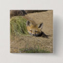 Search for breckenridge badges Jaynes gallery