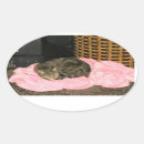 Search for indigo stickers Pink