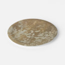 Search for painting paper plates Gold