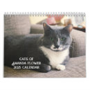 Search for cat calendars Feline