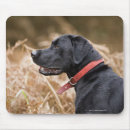 Search for profile mousepads Standing