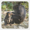 Search for carefree stickers Togetherness
