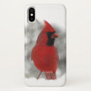 Search for cardinals iphone cases Nature