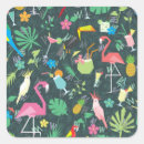Search for tropical drink stickers Illustration