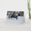 Search for quarter horse cards Danita delimont