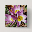 Search for spring pink badges Nature